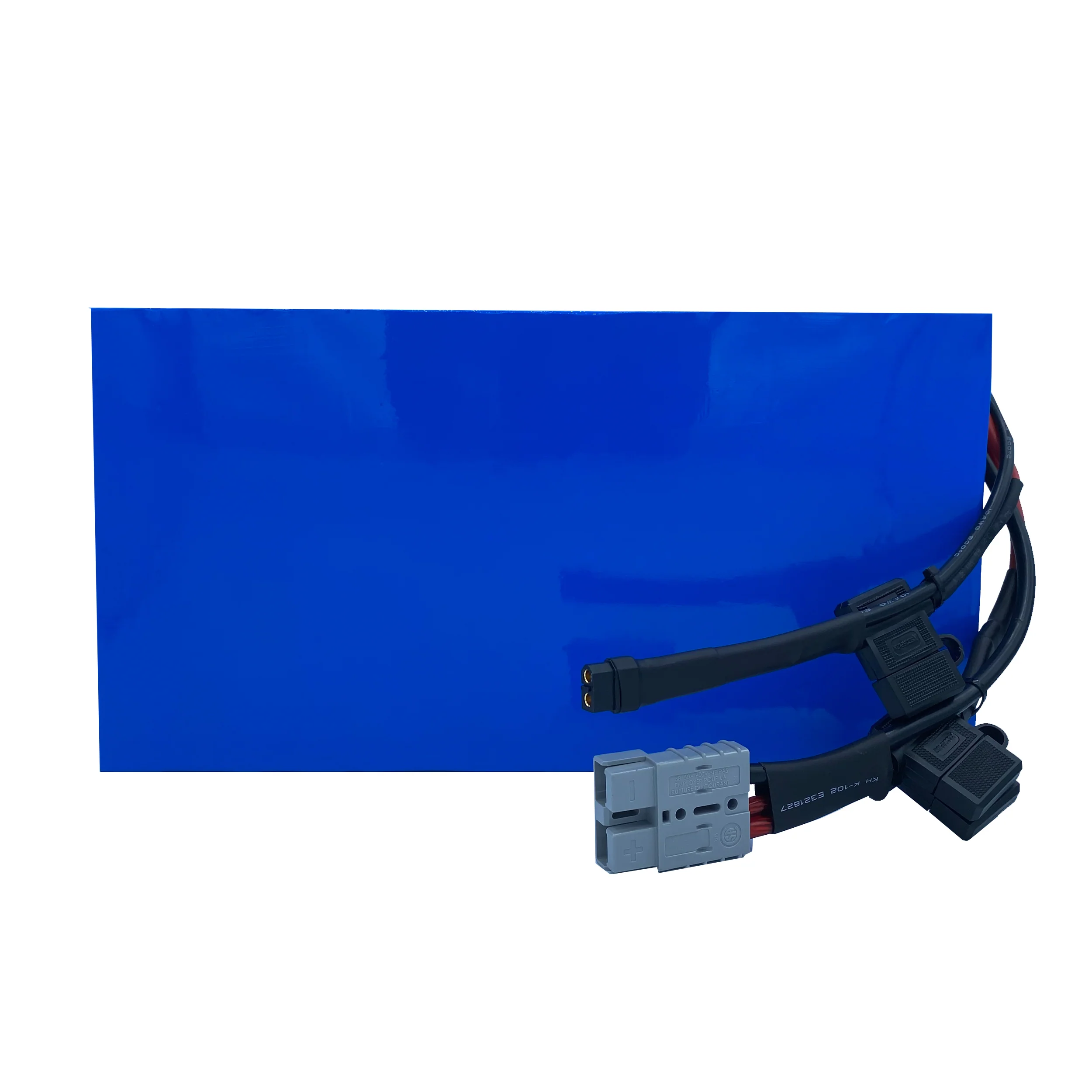 EMP 48V Naked High Performance | Lithium Ion Battery Pack - Image 10