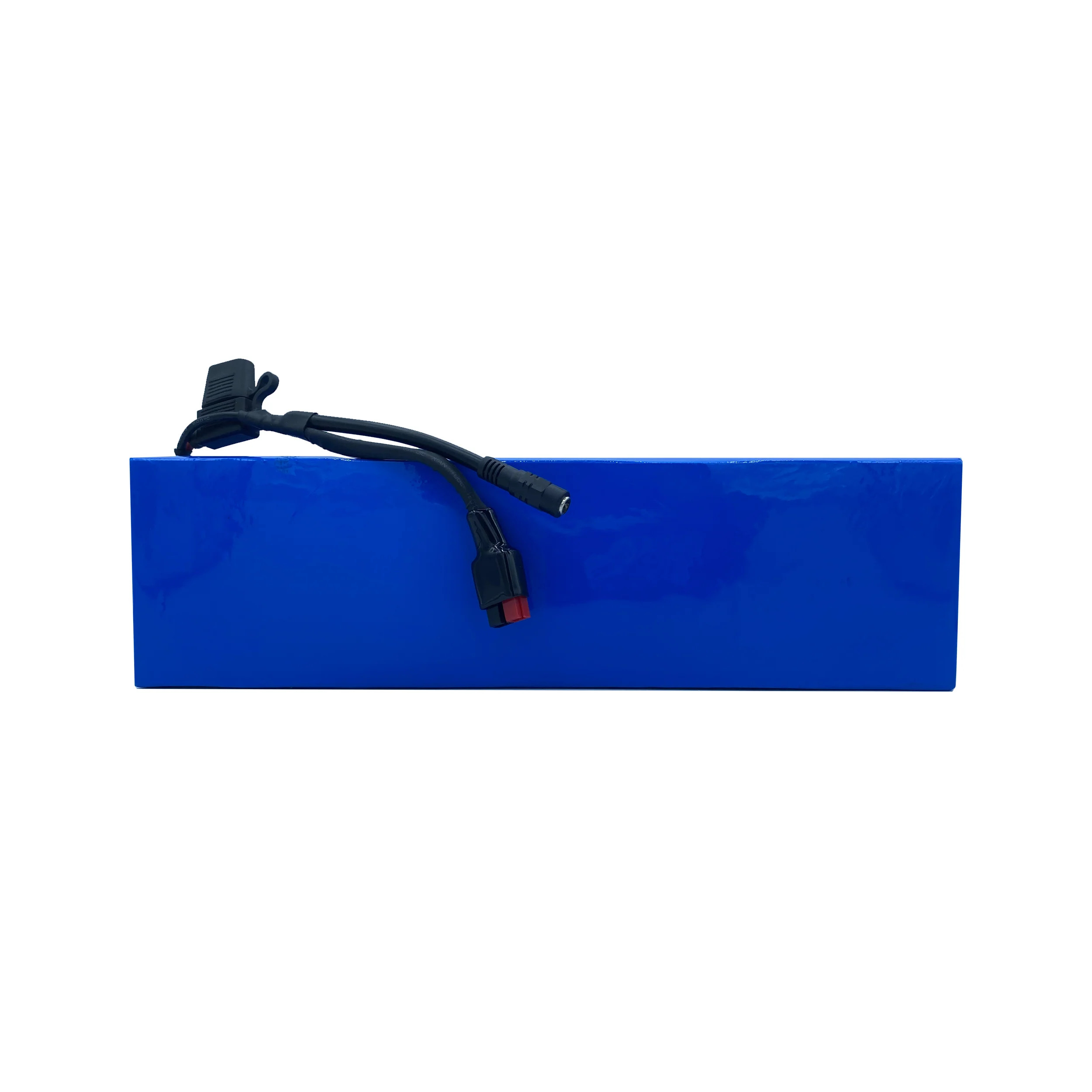 EMP 48V Naked High Performance | Lithium Ion Battery Pack - Image 5