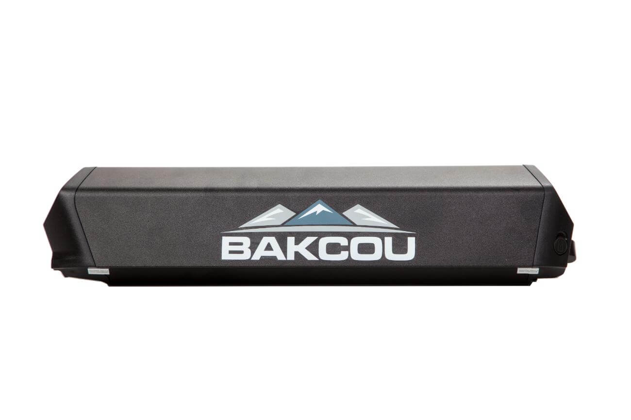 Bakcou Battery | Battery Rebuild - Image 2