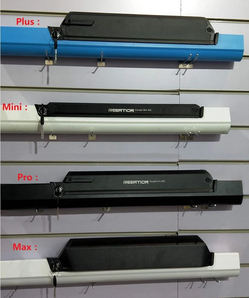 EMP Dorado Plus | Ebike Lithium Battery - Image 9