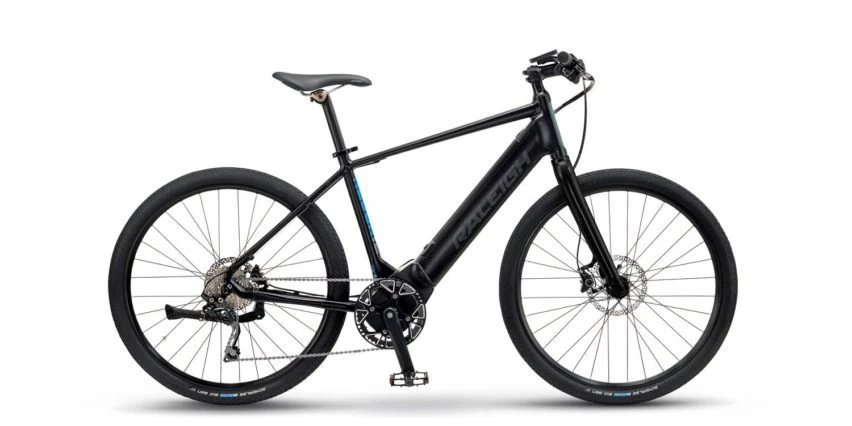 Raleigh Battery | Rebuild Service - Image 10