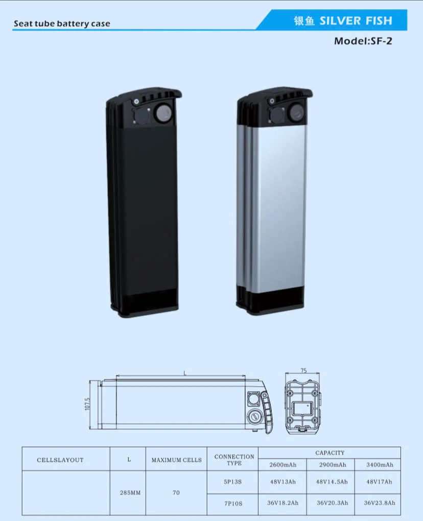 Reention Silver Fish Battery | Rebuild Service - Image 6