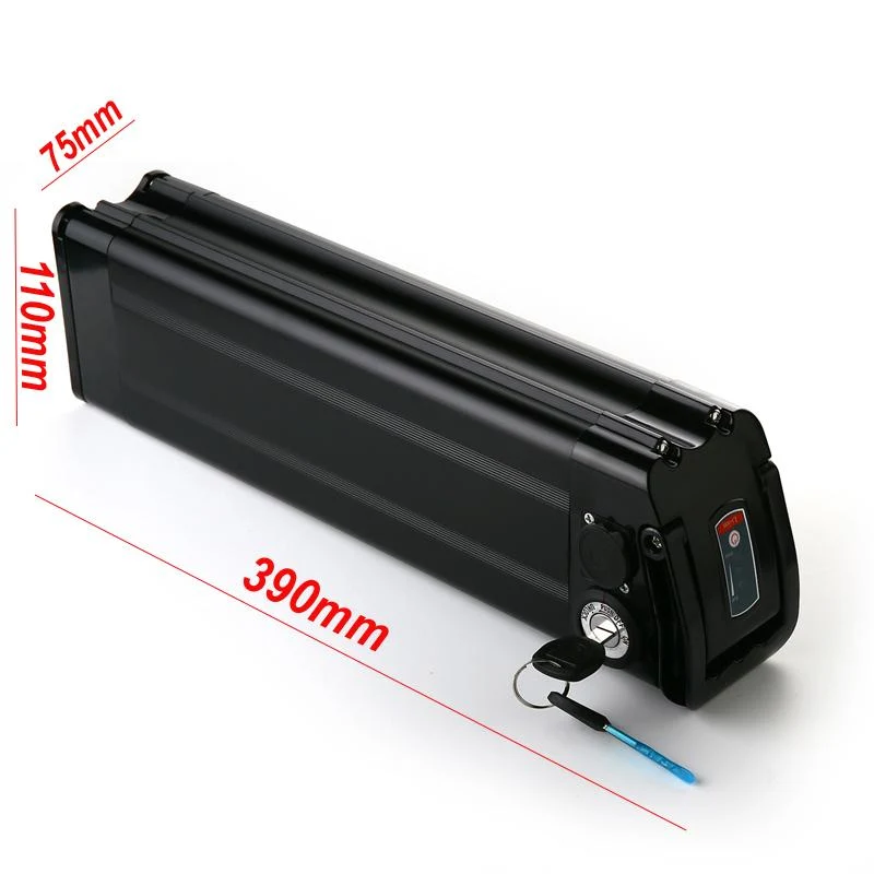 EMP Silverfish | Ebike Lithium Battery - Image 3